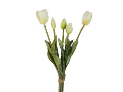 tulip bile
