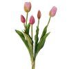 tulip ruzova